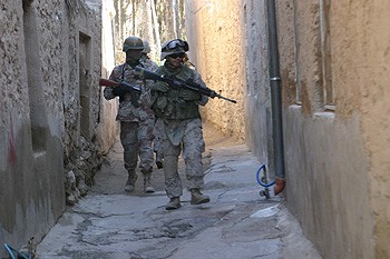 371.jpg
